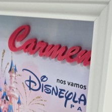 Cuadro PLAYMOBIL Modelo VIAJE A DISNEY