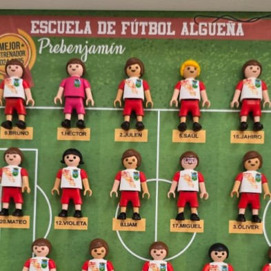 Cuadro PLAYMOBIL ENTRENADOR FÚTBOL Y JUGADORES